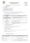 Vista preliminar de documento Convocatoria CAS