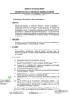 Vista preliminar de documento DIRECTIVA N 4-2023