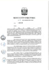Vista preliminar de documento RD 029-2020