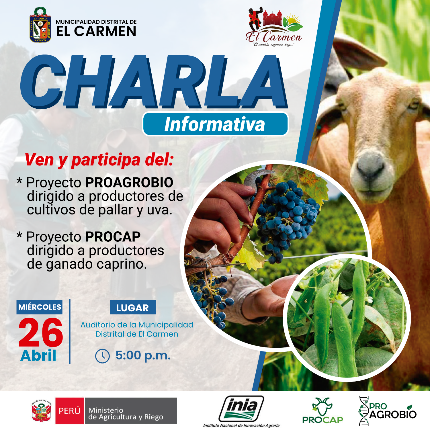 COMUNICADO