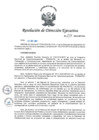 Vista preliminar de documento RDE_239-2023-MTC_24