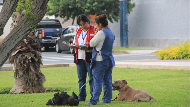 Trabajadoras del hogar_Sunafil