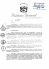 Vista preliminar de documento RD 04-2020-PNSU