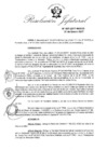 Vista preliminar de documento R.J. N° 007-2017-INDECI.pdf-1
