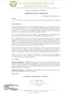 Vista preliminar de documento AC 198