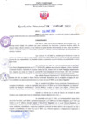 Vista preliminar de documento RD Nº 0149 
