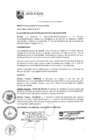 Vista preliminar de documento DA-012-2017-MDJM