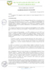 Vista preliminar de documento AC 204