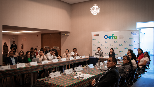 OEFA y MINAM realizan la II Reunión Ejecutiva con las autoridades del Sistema Nacional de Gestión Ambiental