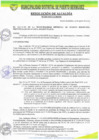 Vista preliminar de documento 249