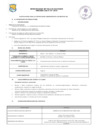 Vista preliminar de documento Convocatoria CAS