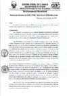 Vista preliminar de documento RD- 3881