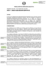 Vista preliminar de documento RDE-000213-2023-DE