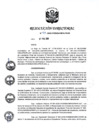 Vista preliminar de documento RD 047-2020