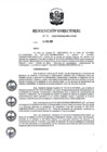 Vista preliminar de documento RD 049-2020