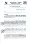 Vista preliminar de documento RD- 3900