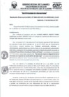 Vista preliminar de documento RD- 3904