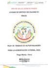 Vista preliminar de documento Plan de trabajo de autoevaluación para la acreditación interna 2023
