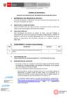 Vista preliminar de documento TDR - REGISTRO DE DATOS
