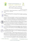 Vista preliminar de documento RESOLUCION DE ALCALDIA N°133 A
