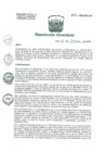 Vista preliminar de documento R.D N°234-2023-HNAL-DG