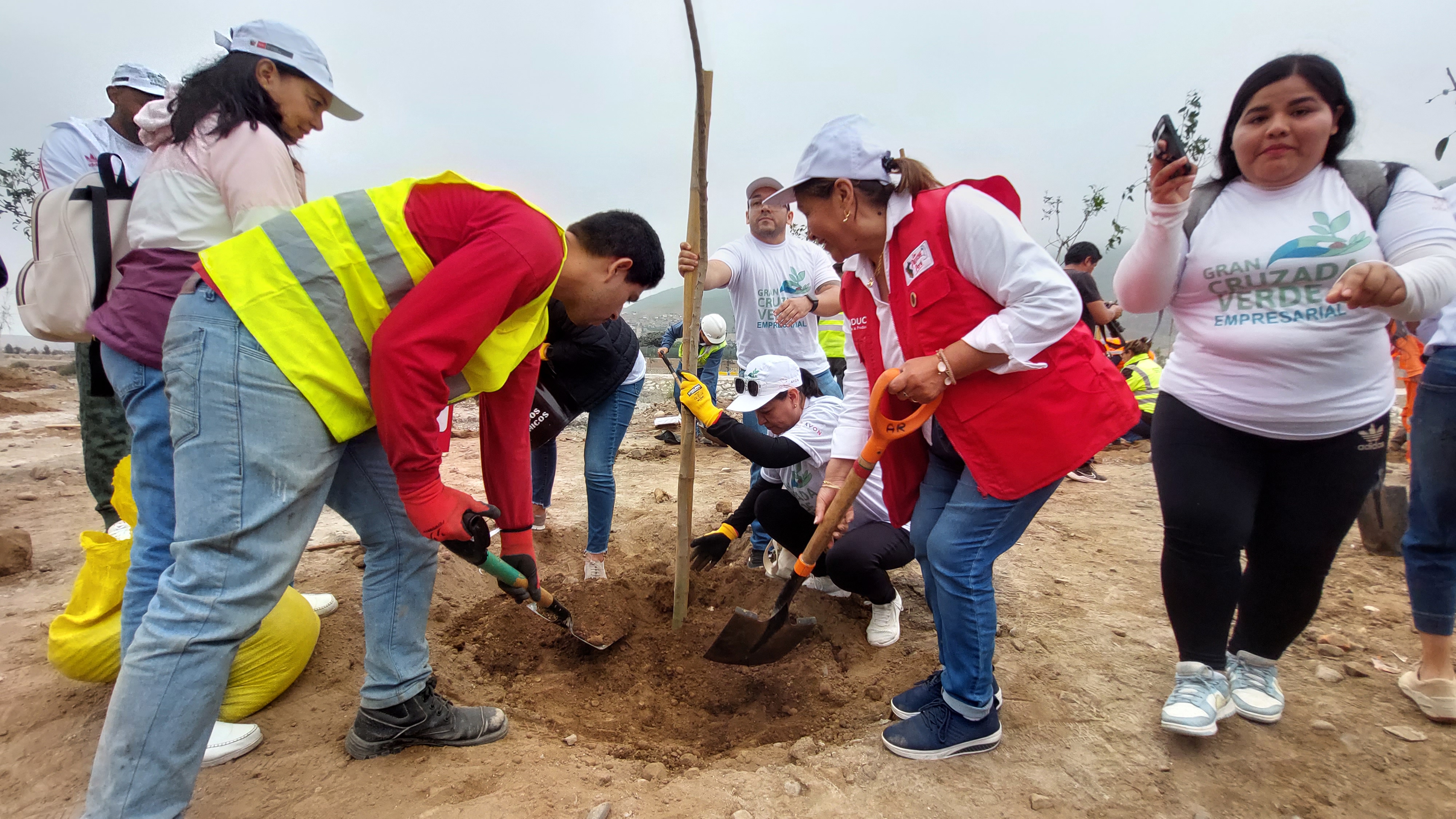 Ministra plantando un árbol