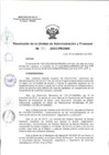 Vista preliminar de documento RUAF 086-2023-PRONIS