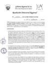 Vista preliminar de documento RDR-1300-2023