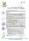 Vista preliminar de documento RA 397-2023-MPHH