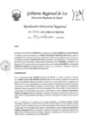 Vista preliminar de documento RDR-1303-2023