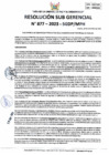 Vista preliminar de documento RSG 877-2023-SGDP