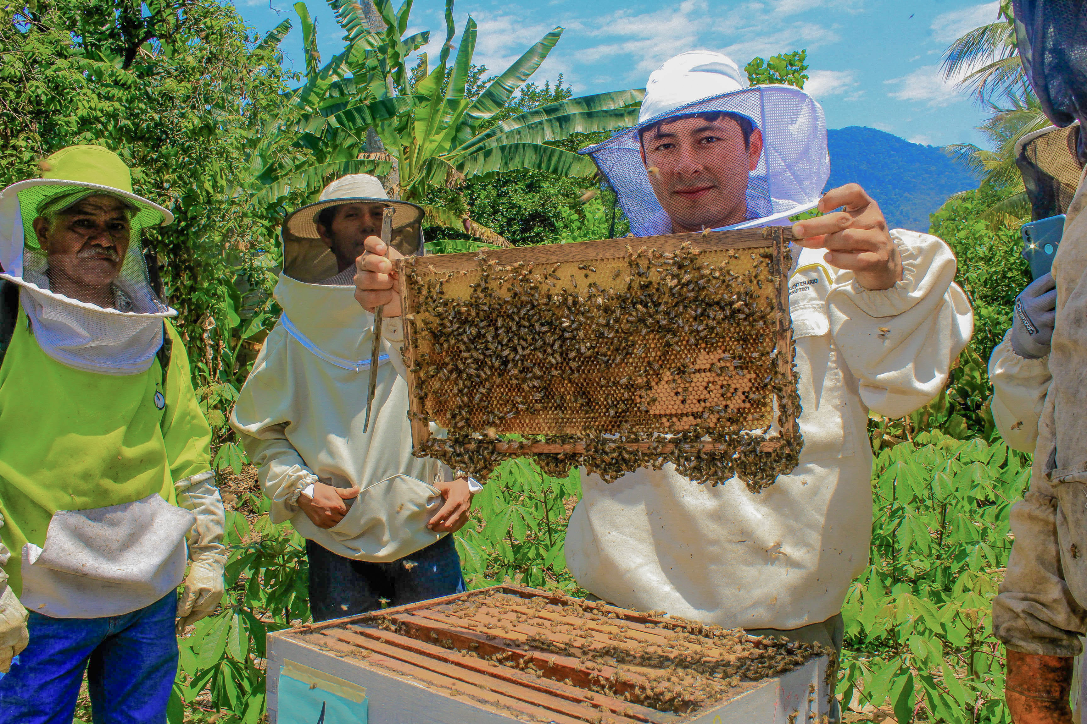 Celebran Día del Apicultor Peruano con degustación de miel y curso de crianza de abejas reinas