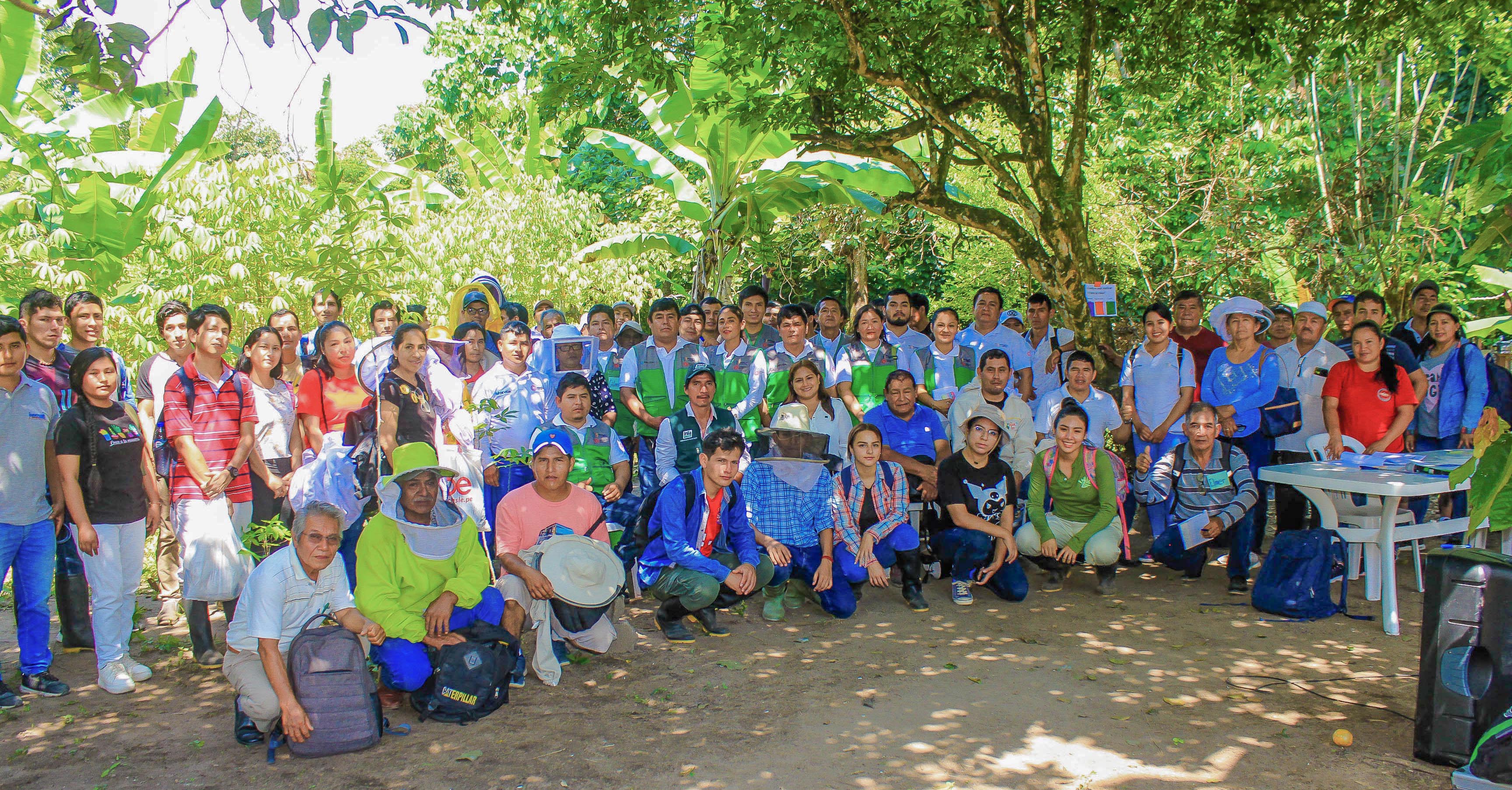 Celebran Día del Apicultor Peruano con degustación de miel y curso de crianza de abejas reinas