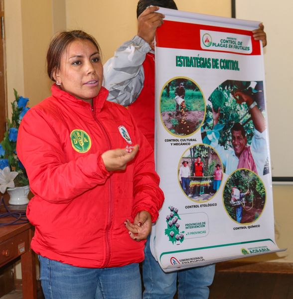 Coordinan acciones contra la mosca de la fruta en la Muni Distrital de Huamanguilla