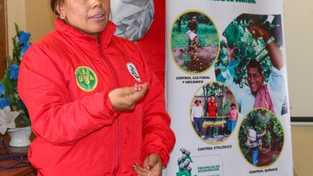 Coordinan acciones contra la mosca de la fruta en la  Muni Distrital de Huamanguilla