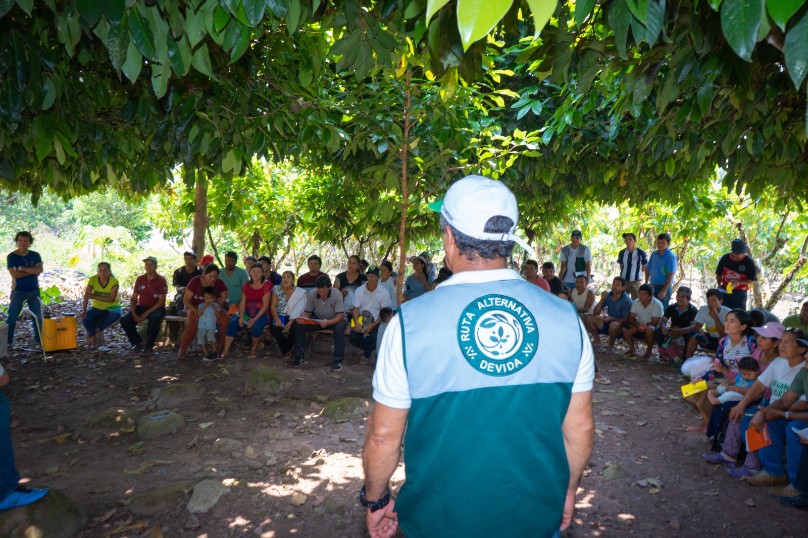 San Martín: Devida capacita 1200 agricultores para reforzar producción de cacao