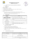 Vista preliminar de documento Convocatoria CAS