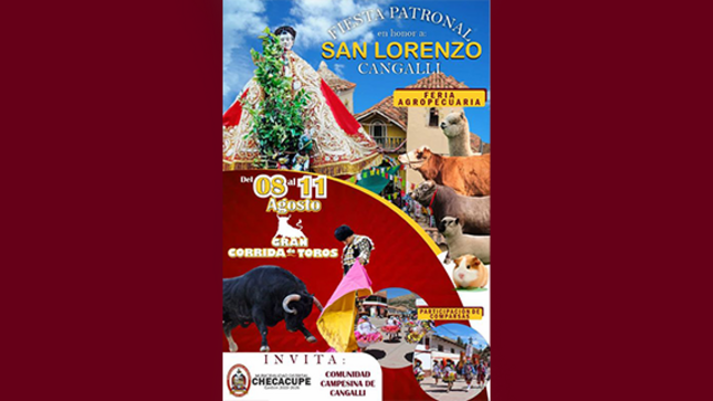 diseño de publicacion