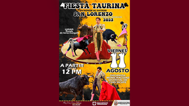 diseño de publicacion