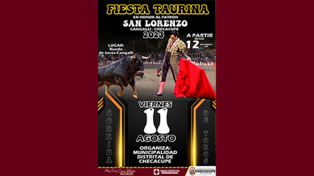 diseño de publicacion