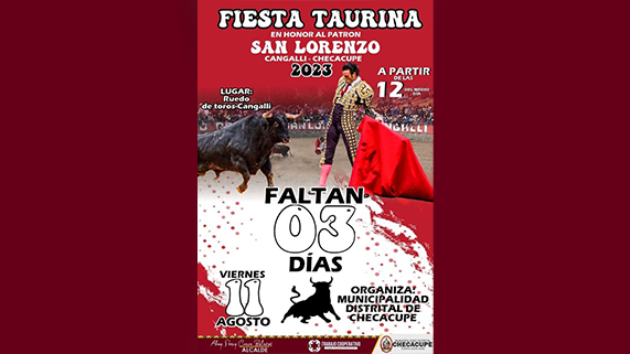 diseño de publicacion