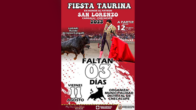 diseño de publicacion