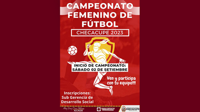 diseño de publicacion