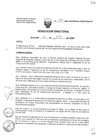 Vista preliminar de documento Resolucion_Directoral_154_2020