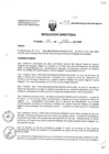 Vista preliminar de documento Resolucion_Directoral_157_2020