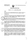 Vista preliminar de documento Resolucion_Directoral_355_2020