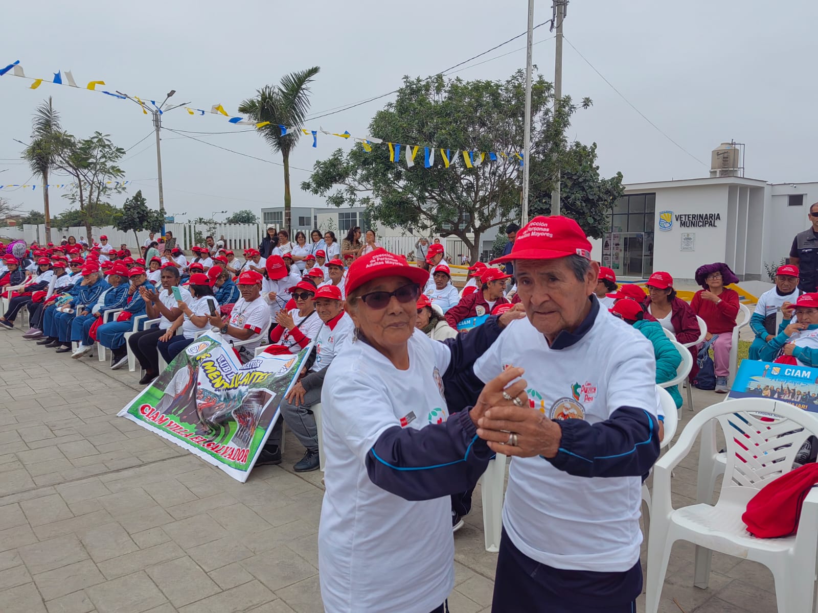 ADULTOS MAYORES