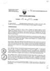Vista preliminar de documento Resolucion_Directoral_141_2020