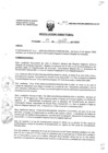 Vista preliminar de documento Resolucion_Directoral_202_2020