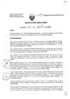 Vista preliminar de documento Resolucion_Directoral_194_2020